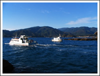 竜串海中公園グラスボート